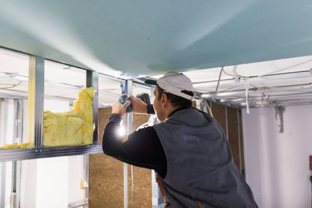 Best Specialized Insulation Services in Colorado City, AZ
