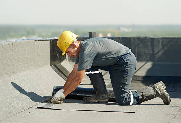 Best Eco-Friendly Insulation in Colorado City, AZ
