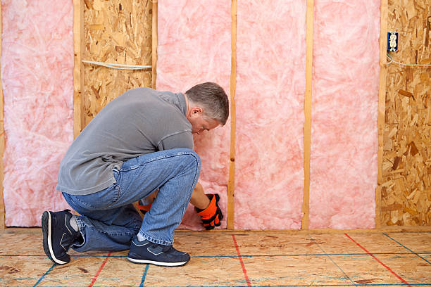 Best Insulation for Specific Applications in Colorado City, AZ