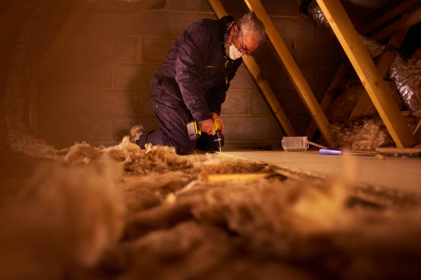 Best Insulation Maintenance and Repair in Colorado City, AZ