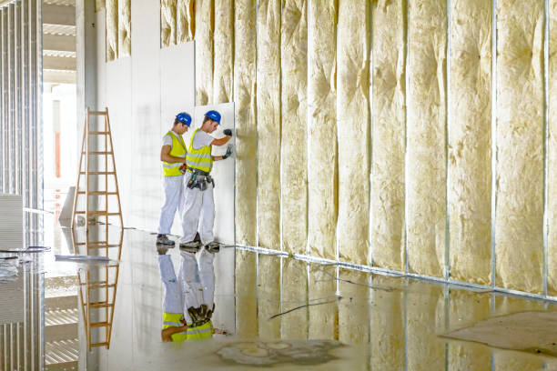 Best Cellulose Insulation in Colorado City, AZ